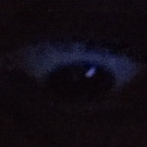 Meet your Posher, Faith